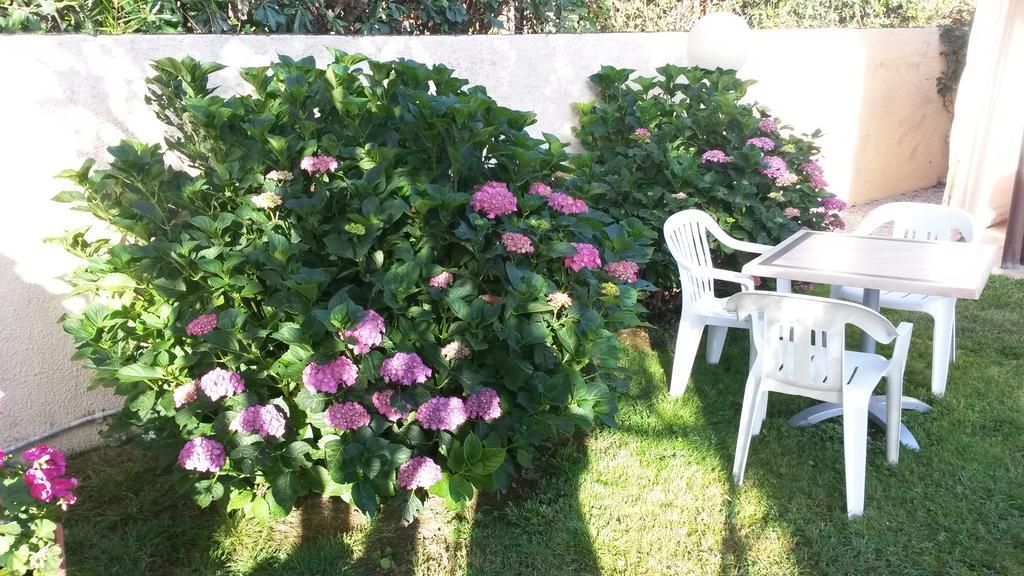מרצ'יאנה מרינה Hotel Anselmi מראה חיצוני תמונה